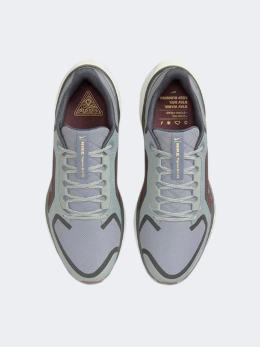 Nike Air Zoom Pegasus 41 Goretex Men Running Shoes Pumice/Burgundy/Ash