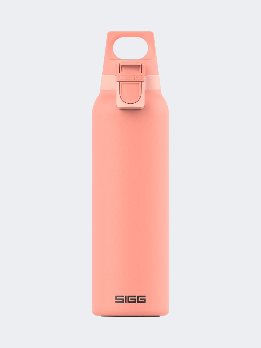 Sigg Thermo Flask Hot And Cold One 0.55 L Lifestyle Bottle Sky Pink