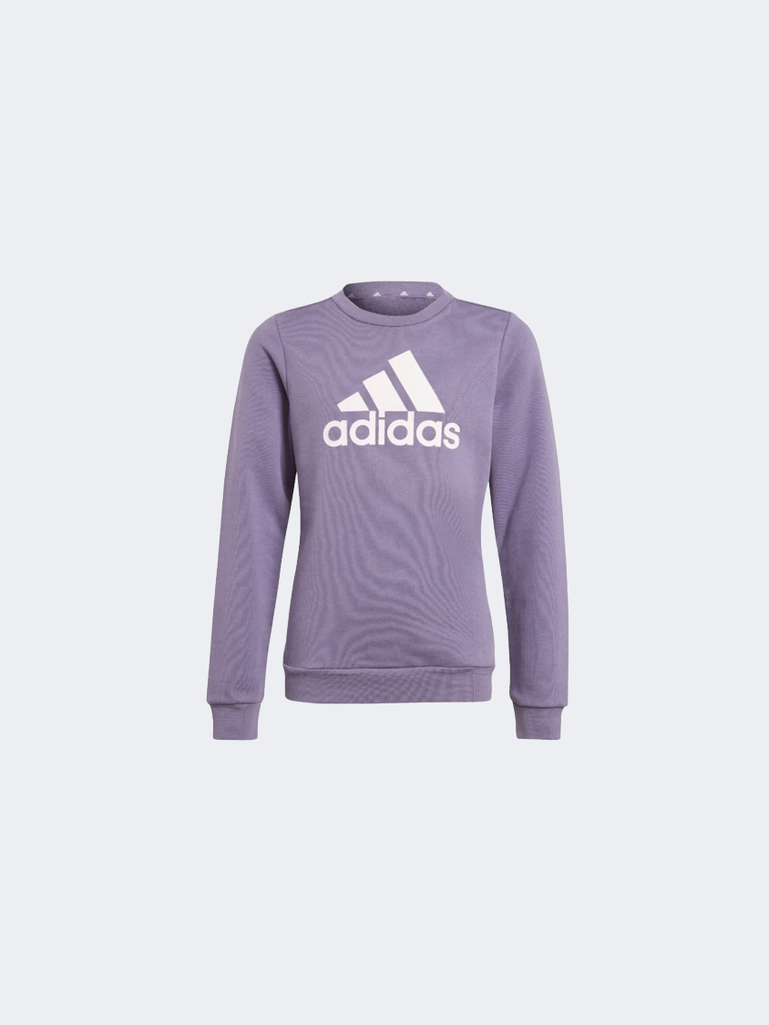 Adidas Essentials Big Logo Kids-Girls Sportswear Sweatshirt Shadow  Violet/Pink