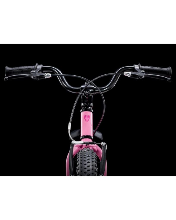 Trek Precaliber 16 Girls Biking Bike Pink
