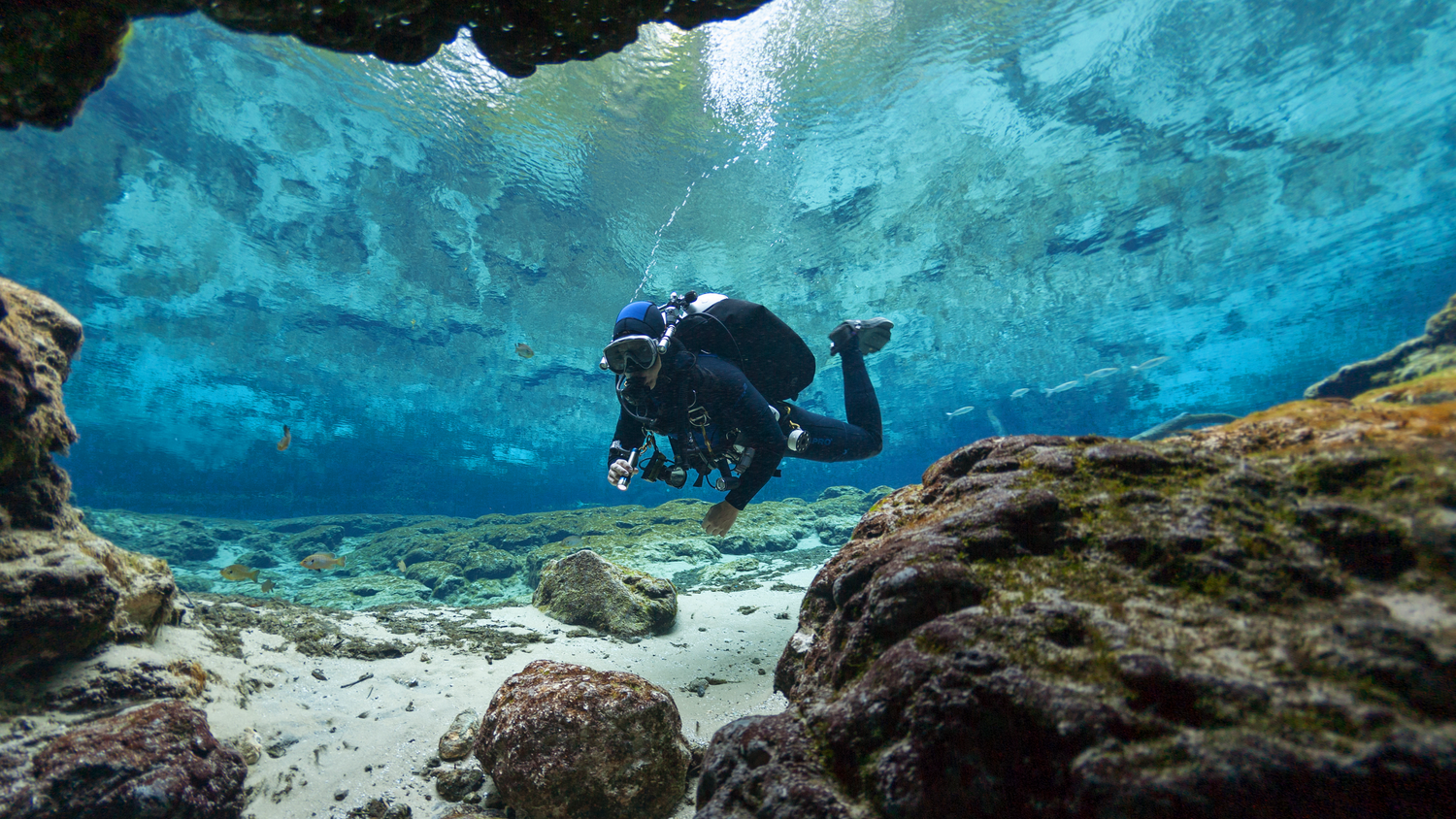 DEEP DIVE