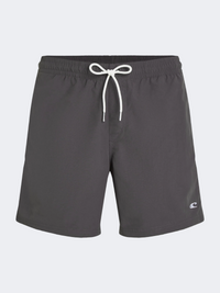 Oneill Vert  Men Beach Swim Short Grey