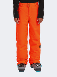 Oneill Cruz Snow Boys Skiing Pant Tokyo Lights