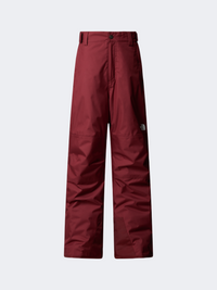 The North Face Freedom Insulated Boys Skiing Pant Sumac