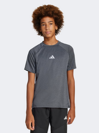 Adidas All Sports Favorite Kids-Boys Sportswear T-Shirt Black/Grey