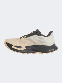 The North Face Vectiv Enduris 4 Men Trail-Running Shoes Anthracite Grey