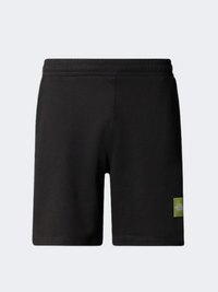 The North Face Coordinates Men Lifestyle Short Black