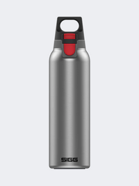 Sigg Thermo Flask Hot And Cold One 0.55 L Lifestyle Bottle Light Brushed