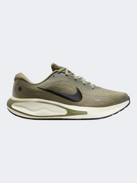 Nike Men Journey Run Road Running Shoes Silver Sage Black Spruce