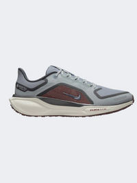 Nike Air Zoom Pegasus 41 Goretex Men Running Shoes Pumice/Burgundy/Ash