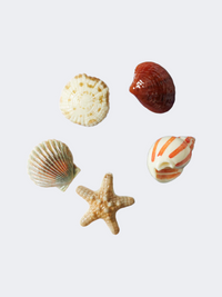 Crocs She Sells Seashells 5 Pack Lifestyle Pins Multicolor
