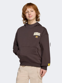 Adidas The Simpsons Kids-Boys Sportswear Hoody Night Brown
