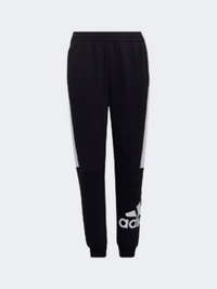 Adidas Colorblock Boys Lifestyle Pant Black/White