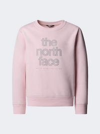 The North Face Reflective Logo Relaxed Vrew Girls Lifestyle Sweatshirt Pale Blossom