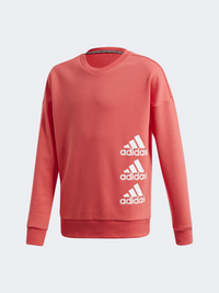 Adidas Must Haves Crew Kids-Girls Training Sweatshirt Pink/White