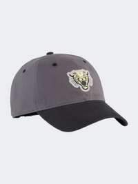 Puma Graphic Dad Unisex Lifestyle Cap Black