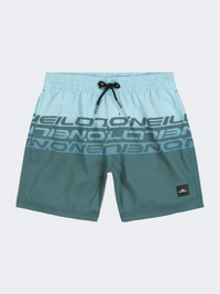 Oneill Cali Stripe Boys Beach Swim Short Blue