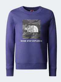The North Face Redbox Kids Lifestyle Sweatshirt Cave Blue/Grey