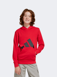 Adidas Essentials Kids Boys Sportswear Hoody Pure Ruby/Black