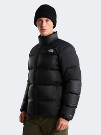 The North Face Diablo Down 2.0 Men Hiking Jacket Black Heather
