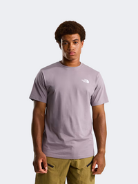 The North Face Box Nse Celebration Men Lifestyle T-Shirt Transcendent Grey