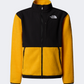 The North Face Teen Denali Boys Hiking Jacket Summit Gold