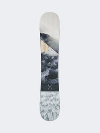 Head True 2.0 Snowboard Ice