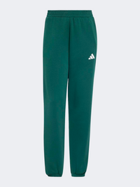 Adidas Stadium Women Sportswear Pant Collegate Green