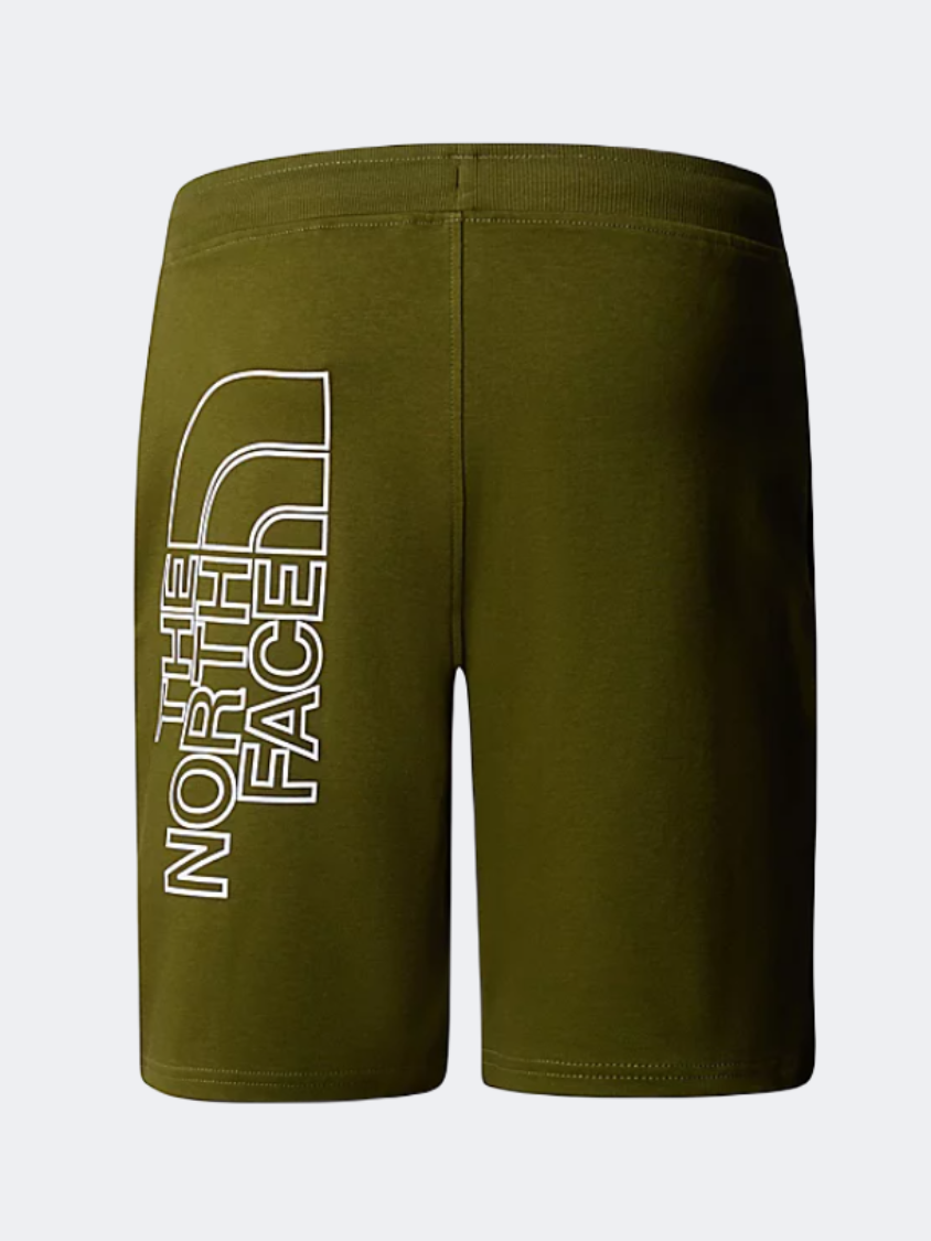 The North Face Graphic Light Men Lifestyle Short Forest Olive