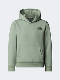The North Face Box Nse Regular Boys Lifestyle Hoody Slate Moss/Taupe