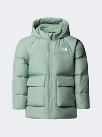The North Face North Down Fleece Lined Parka Boys Hiking Jacket Slate Moss