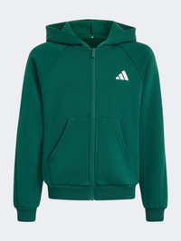 Adidas Seasonals Collegiate Typography Full Zip Kids-Boys Sportswear Hoody Green/Ivory