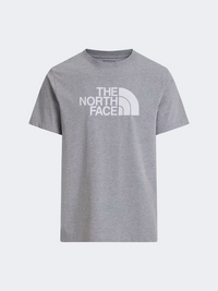 The North Face Half Dome Regular Men Lifestyle T-Shirt Pale Grey/White