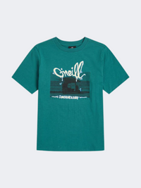 Oneill Slub Graphic Boys Lifestyle T-Shirt Botanical Heat