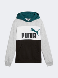 Puma Essential Block Boys Lifestyle Hoody Light Grey Heather