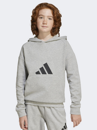 Adidas Future Icons Logo Hooded Kids-Boys Sportswear Hoody Grey/Black