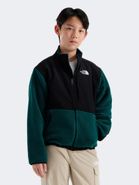 The North Face Denali Boys Hiking Fleece Pacific Teal