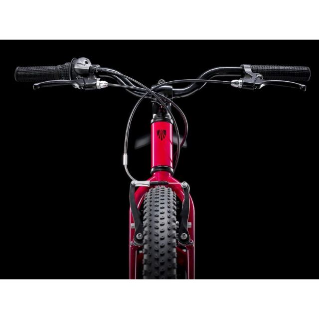 Trek Precaliber 24 8-Speed Girls Biking Bike Magenta