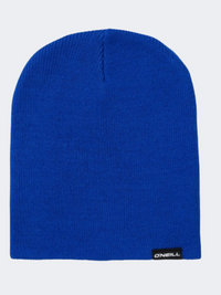 ONeill Dolomite Boys Skiing Beanie Surf The Web Blue