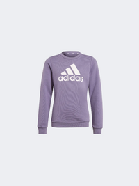 Adidas Essentials Big Logo Kids-Girls Sportswear Sweatshirt Shadow Violet/Pink