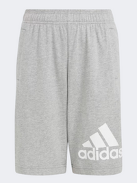 Adidas Essential Big Logo Boys Sportswear Short Grey Heather/White