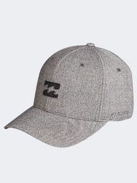 Billabong All Day Flexfit Men Lifestyle Cap Silver