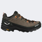 Salewa Alp Trainer 2 Men Hiking Shoes Brown Bungee/Black