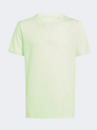 Adidas Boys Sportswear T-Shirt Green Spark/Silver