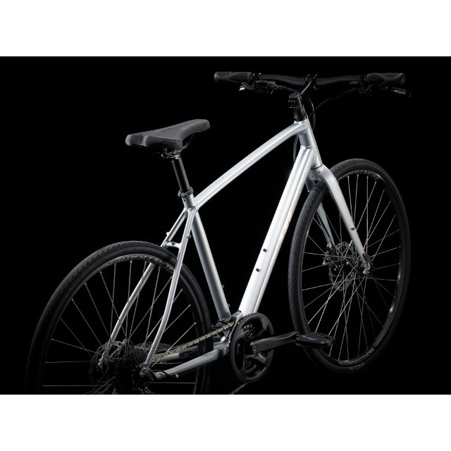 Trek fx 2 disc womens hybrid bike 2021 in silver sale