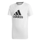 Adidas Youth Logo Kids-Boys Training T-Shirt White BK3488