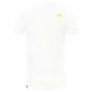 The North Face Box Tee Youth Unisex Lifestyle T-Shirt White Nf0A3Bs2-P80