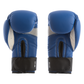 Fitness Factory Boxing Gloves Blue/White
