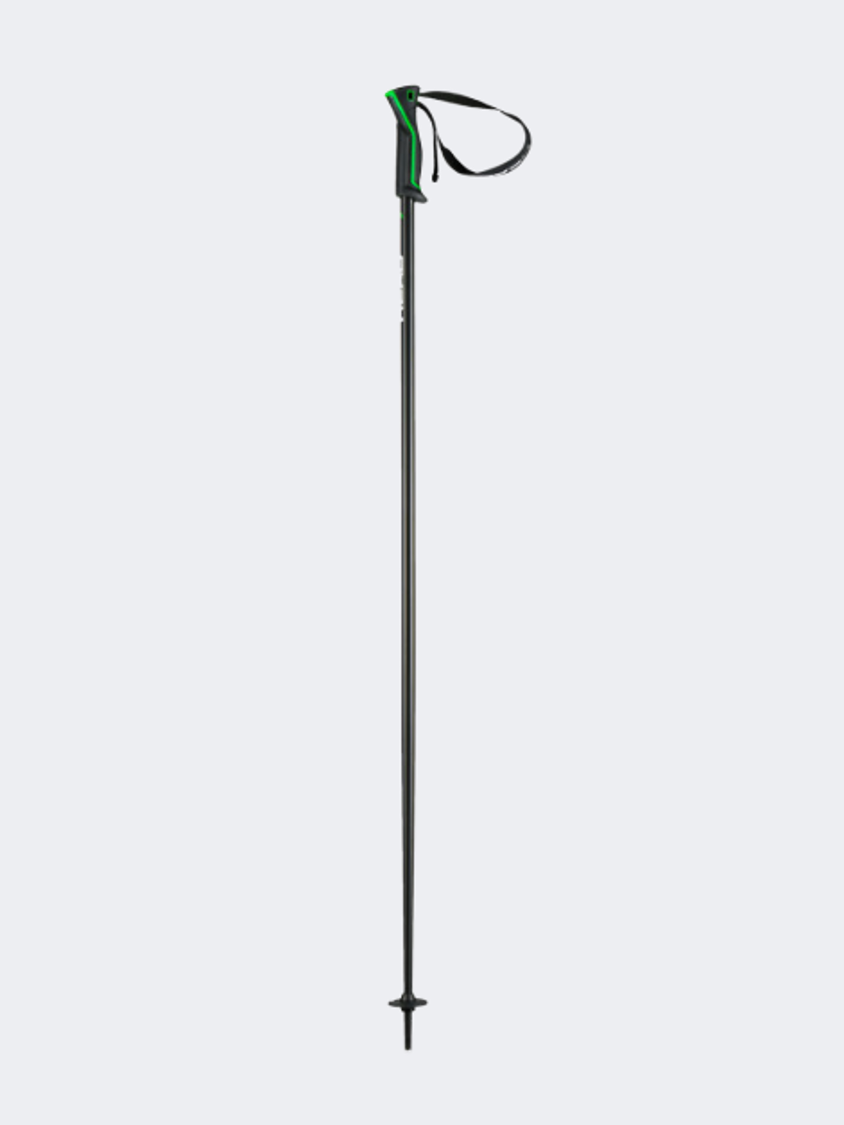 Head Frontside Performance Ng Skiing Pole Anthracite/Green