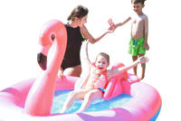 Ji-Long Ng Beach 57133 Flamingo Play Pool&#177;240Cm150Cm95Cm(94"59"37") Multicolor Pool